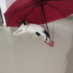 Patricia Mazo Palacio - @patriciamazopalacio - Instagram