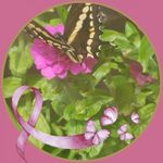 Patricia Mazon - @patricia.mazon.752 - Instagram