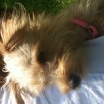 Patricia McCaleb - @patmcnana - Instagram