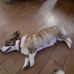 Patricia Mee - Facebook