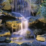 Patricia Mee - @patricia.mee.50 - Instagram