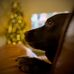 Patricia Mee - Facebook
