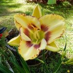 Patricia Mentzer - @mentzer999 - Instagram