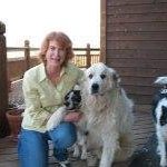 Patricia Middaugh - @plmiddaugh - Instagram