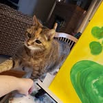 Patricia Molitor - @patricia.molitor.79 - Instagram