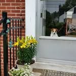 Patricia Moser - @wordgoddess30 - Instagram