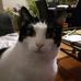 Patricia Muchmore - Facebook
