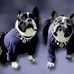 Patricia Munk - Facebook