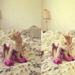 Patricia Napper - @wellmarebil - Instagram