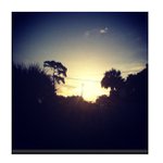 Patricia Napper - @tychilledgrant - Instagram