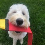 Patricia Neubert Chambers - @a.l_chambers - Instagram