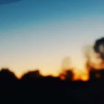 patricia newquist - @patricia_20200 - Instagram