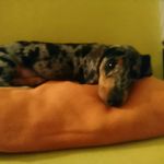 patricia nield - @patrician34 - Instagram