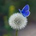 Patricia Nilson - Facebook