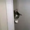 Nitzia Patricia Rubi - @nitziapatriciarubio - TikTok