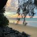 Patricia Nutter - Facebook
