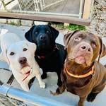 Patricia Nutter Carlisle - @markandme2 - Instagram