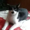 Patricia Ode646 - @patriciaode - TikTok