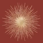 Patricia Ode ✨Healing Guide - @soulwisdomhealing - Instagram