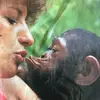 patriciaodetsimon - @patriciaodetsimon - TikTok