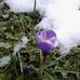 Patricia Odemard - Facebook