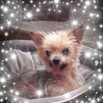Patricia Orsi - Facebook