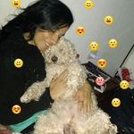 Patricia Pellati - @patricia_pellati - Instagram