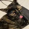 Patricia Peroni - @patriciaperoni0 - TikTok