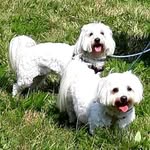 Patricia Perron - @patricia.perron.71 - Instagram