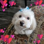 Patricia Pfaffe - @patriciapfaffe - Instagram
