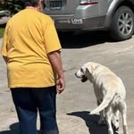 Patricia Pfaffenhauser - @patriciapfaffenhauser - Instagram