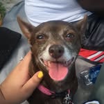 Penny Patricia Petunia Pickles - @lilpennypickles - Instagram