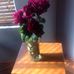 Patricia Plaisted - Facebook