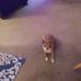 Patricia Pluff - Facebook