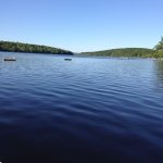 Patricia Murtagh Pomeroy - @fourpgjj - Instagram