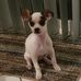 Patricia Pomeroy - Facebook