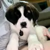 Willa - @patriciapriddy - TikTok