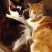 Patricia Prindle - Facebook