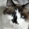 Grammers - @patriciaputney7 - TikTok