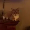 Patricia Putney - @patricia.putney5 - TikTok