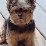 Patricia Raper Kesler - @tkesler09.tk - Instagram