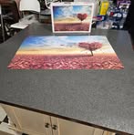 Patricia Rayner - Facebook