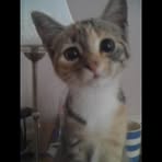 Patricia Rayner - Facebook