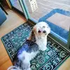Patricia Reimers - @patricia.reimers - TikTok