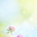 Patricia Renick - Facebook