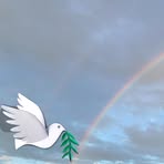 Patricia Risner Bailey - Facebook