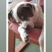 Patrizia Rispoli - Facebook