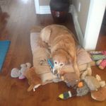 Patricia Rivard - @rivard644 - Instagram