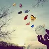 Patricia Roa - @patriciaroa96 - TikTok