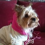 Patricia Roush - @patricia.roush.75 - Instagram